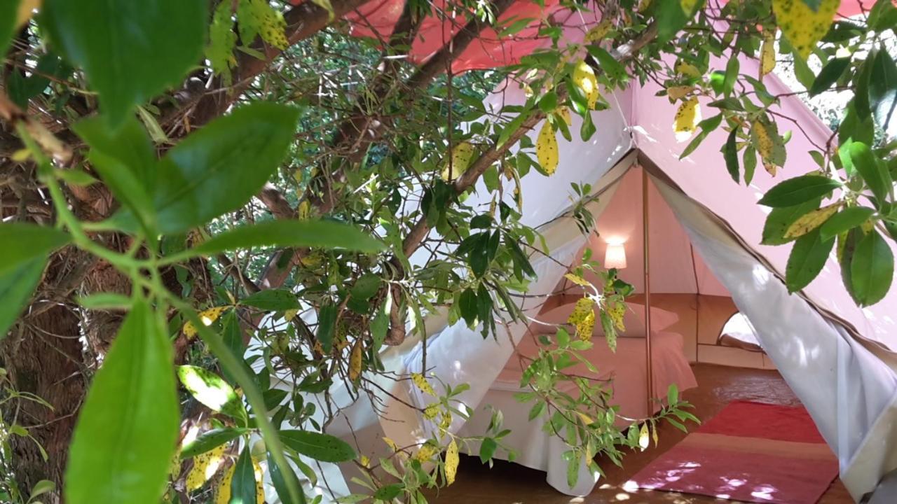 Agricamping La Gallinella Castagneto Carducci Dış mekan fotoğraf